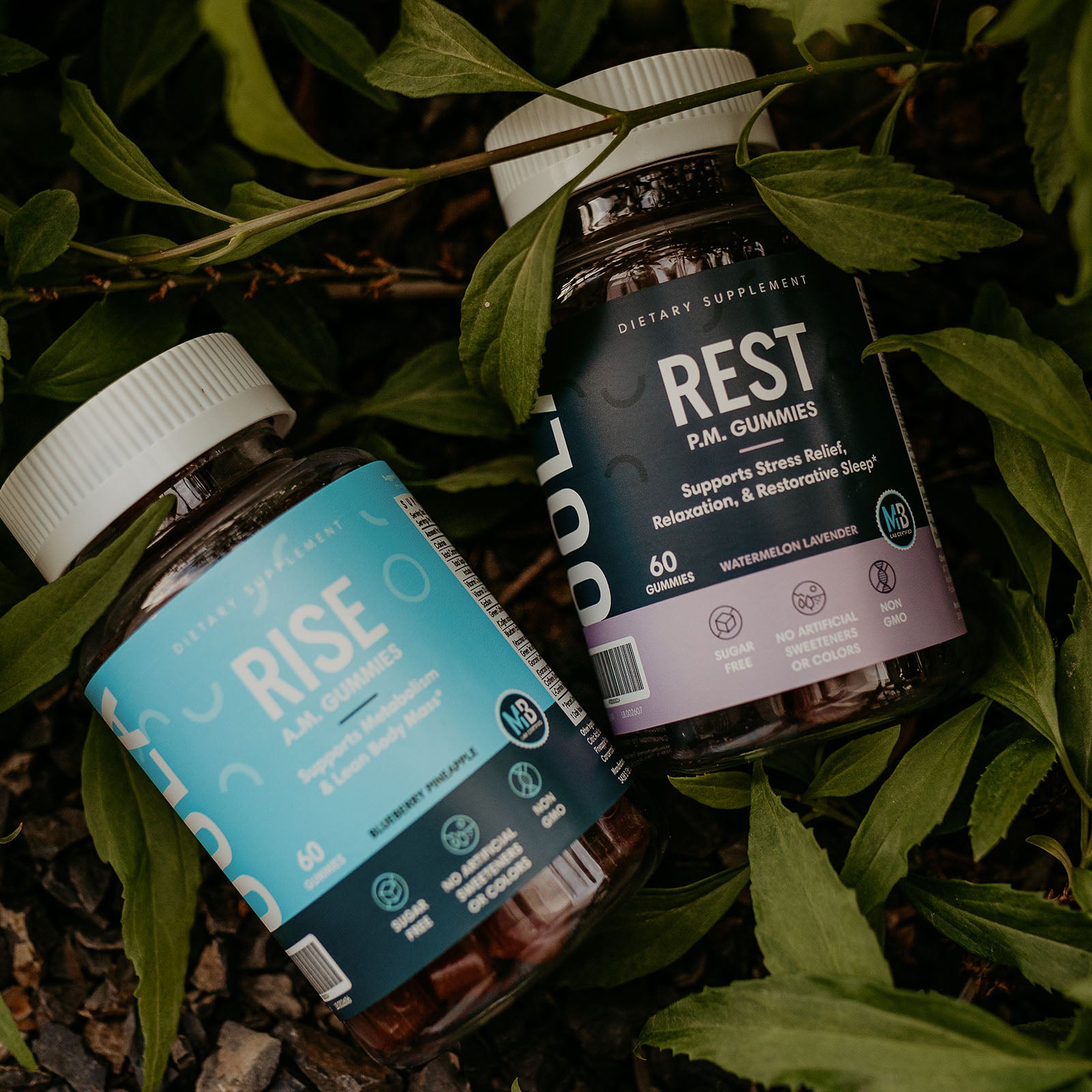 RISE AND REST COLLECTION